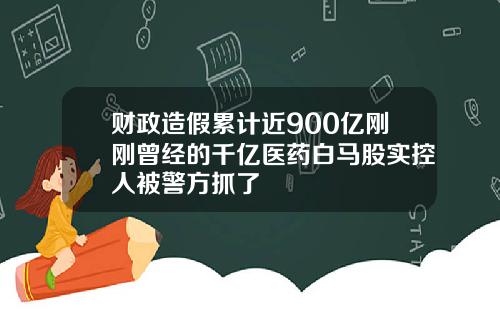 财政造假累计近900亿刚刚曾经的千亿医药白马股实控人被警方抓了