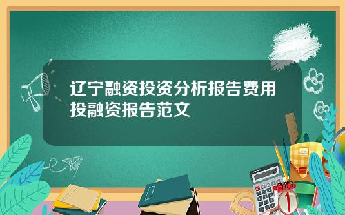 辽宁融资投资分析报告费用投融资报告范文