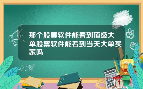 那个股票软件能看到顶级大单股票软件能看到当天大单买家吗