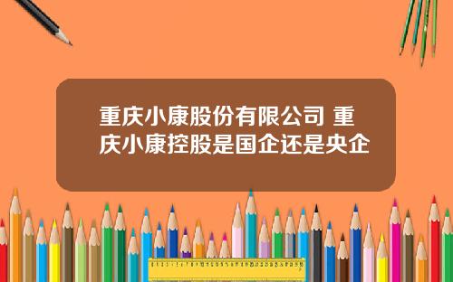 重庆小康股份有限公司 重庆小康控股是国企还是央企