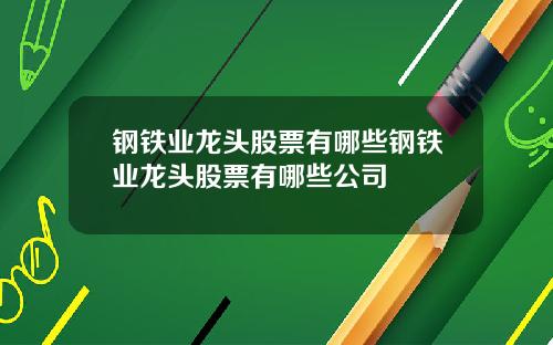 钢铁业龙头股票有哪些钢铁业龙头股票有哪些公司