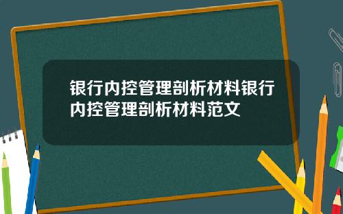 银行内控管理剖析材料银行内控管理剖析材料范文