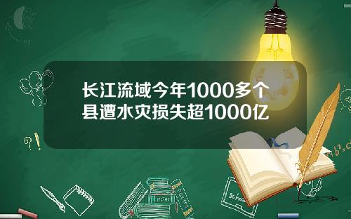 长江流域今年1000多个县遭水灾损失超1000亿