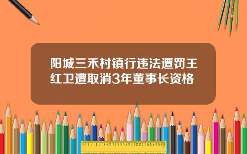 阳城三禾村镇行违法遭罚王红卫遭取消3年董事长资格