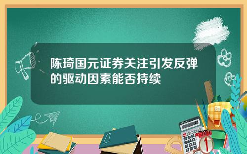 陈琦国元证券关注引发反弹的驱动因素能否持续