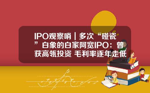 IPO观察哨|多次“碰瓷”白象的白家阿宽IPO:曾获高瓴投资 毛利率逐年走低_1