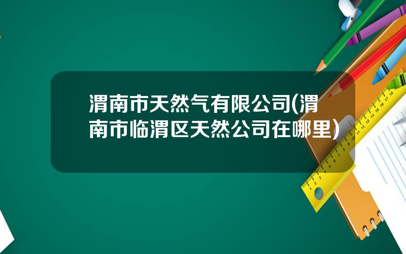渭南市天然气有限公司(渭南市临渭区天然公司在哪里)