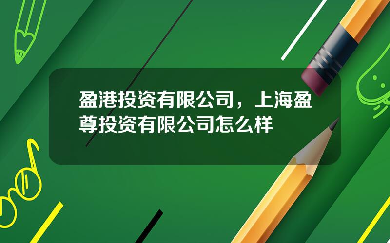 盈港投资有限公司，上海盈尊投资有限公司怎么样