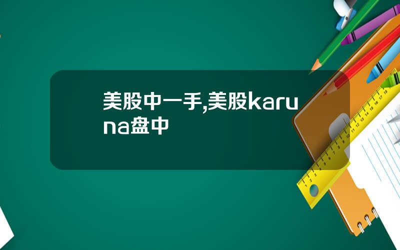 美股中一手,美股karuna盘中