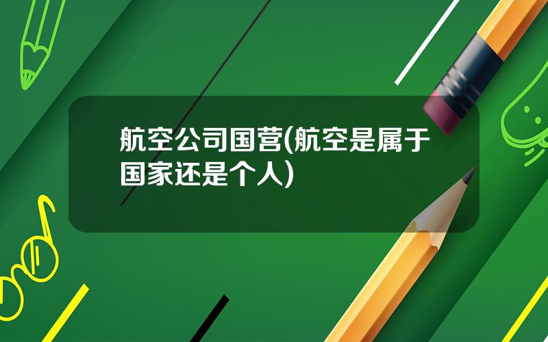 航空公司国营(航空是属于国家还是个人)