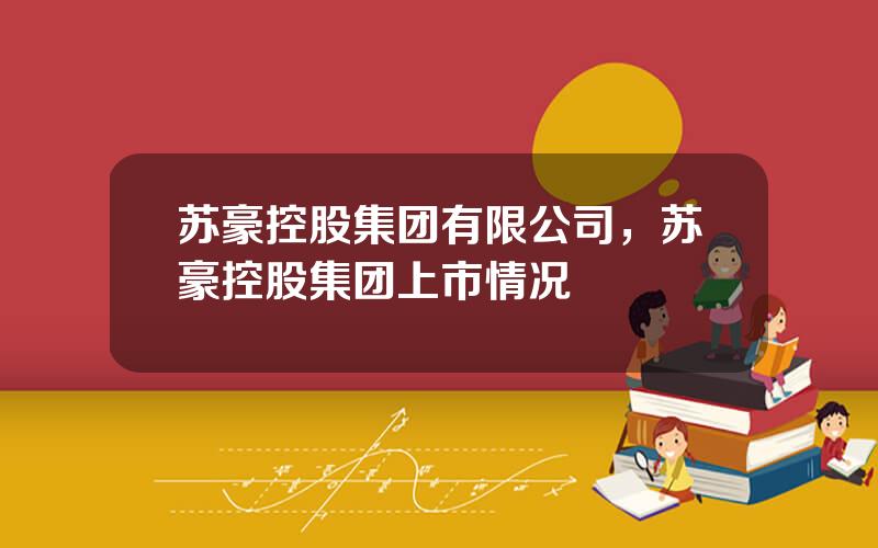 苏豪控股集团有限公司，苏豪控股集团上市情况