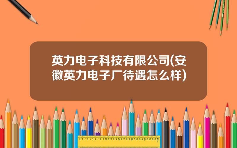 英力电子科技有限公司(安徽英力电子厂待遇怎么样)