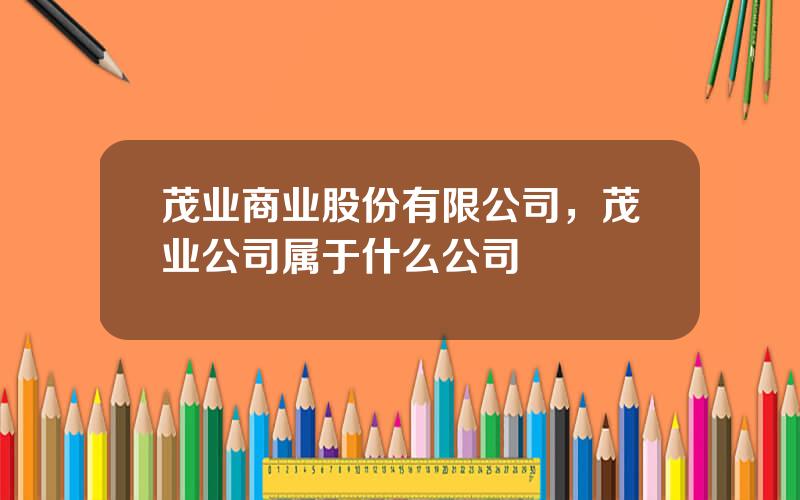 茂业商业股份有限公司，茂业公司属于什么公司