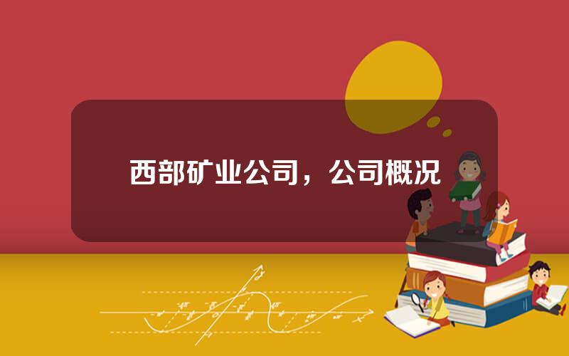 西部矿业公司，公司概况