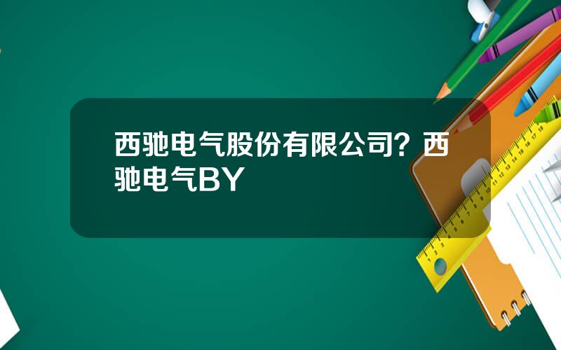 西驰电气股份有限公司？西驰电气BY