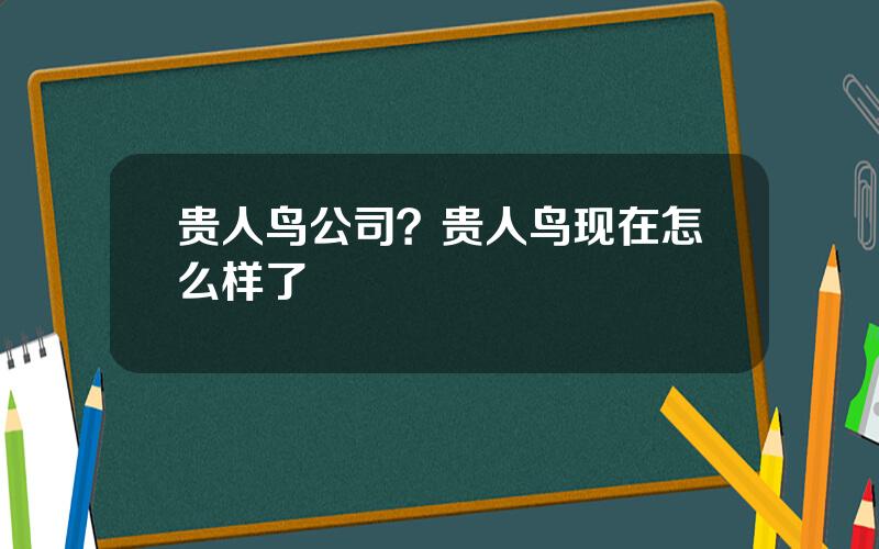 贵人鸟公司？贵人鸟现在怎么样了