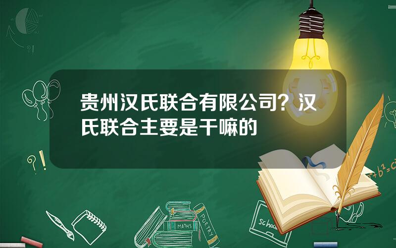 贵州汉氏联合有限公司？汉氏联合主要是干嘛的