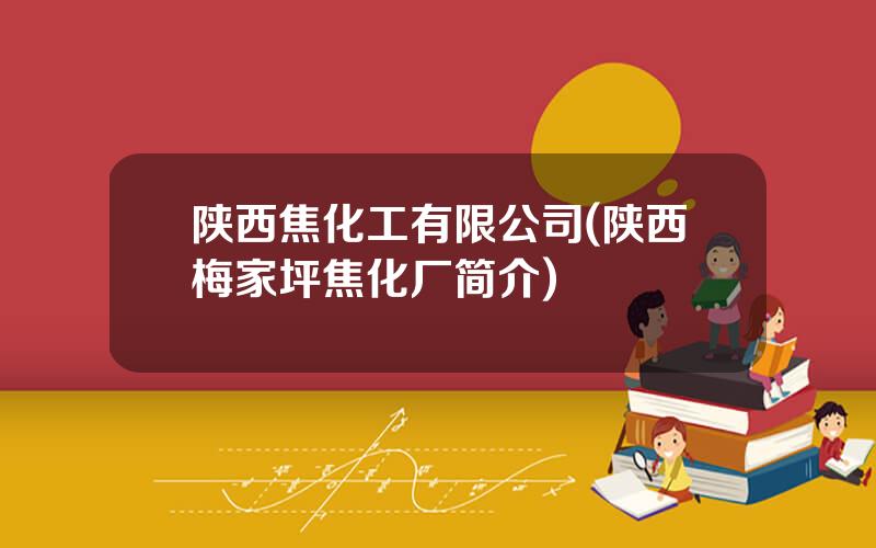 陕西焦化工有限公司(陕西梅家坪焦化厂简介)