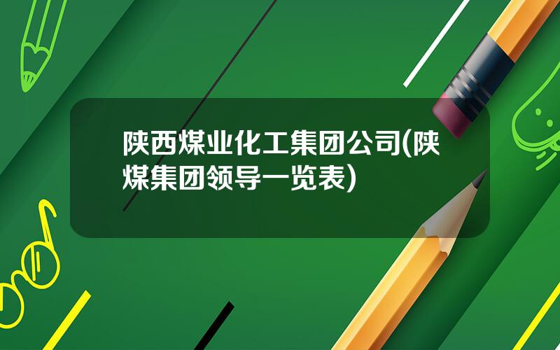 陕西煤业化工集团公司(陕煤集团领导一览表)