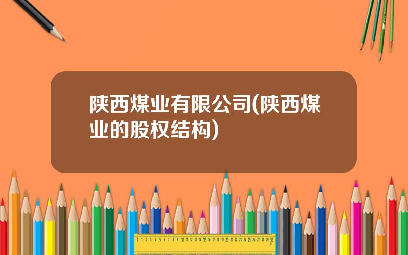 陕西煤业有限公司(陕西煤业的股权结构)